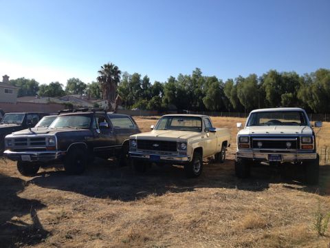 1981 Ford Bronco - Three pickup trucks and a sport utility vehicle are parked in a dry, grassy field under a clear blue sky. The vehicles are positioned from…