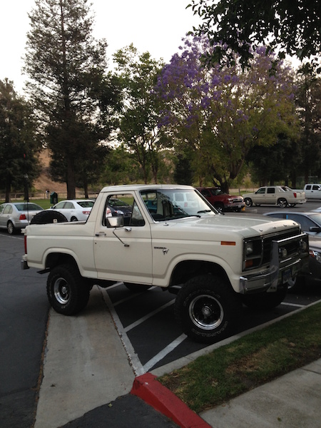 1981 Ford Bronco - A lifted white 1981 Ford Bronco is parked in a parking lot with a jacaranda tree in bloom behind it.