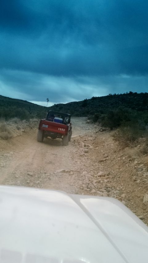 1979 Ford Bronco