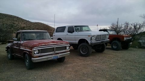 1979 Ford Bronco