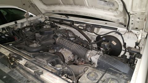 1995 Ford Bronco - The engine bay of a white 1995 Ford Bronco shows various hoses and components under the hood.