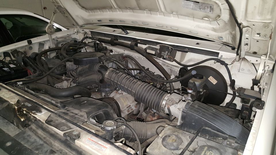 White 1995 Ford Bronco engine bay with hoses and engine components visible