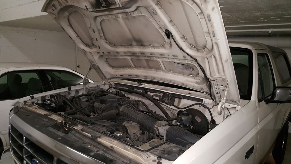 1995 Ford Bronco engine bay with hood open. Another white car is parked to the left