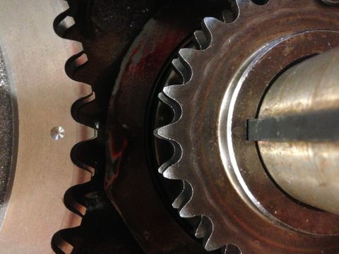 1979 Ford Bronco - Detail of engine timing gears, likely part of an engine rebuild process.