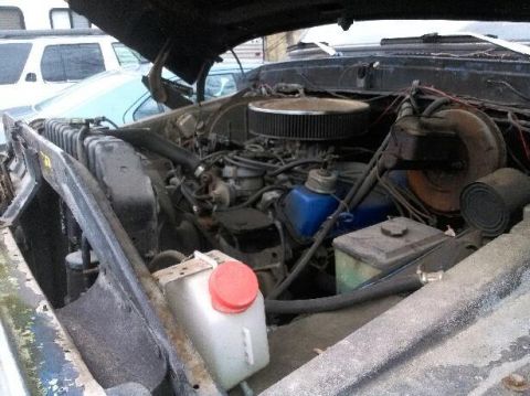 1979 Ford Bronco - Engine bay of a 1979 Ford Bronco, showing the V8 engine and associated components.