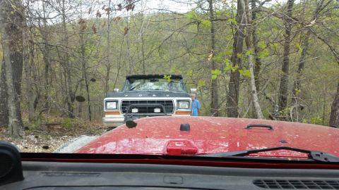 1979 Ford Bronco - A black Ford F-Series truck is parked on a dirt road surrounded by trees, with a red vehicle in the foreground.