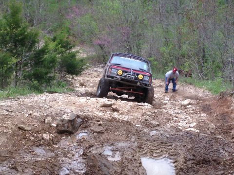 1979 Ford Bronco - An SUV drives on a dirt road surrounded by trees.