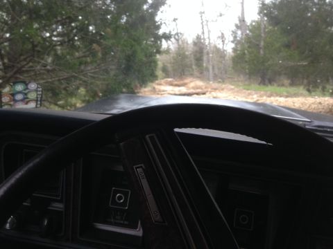 1979 Ford Bronco - View from inside a vehicle as it travels down a tree-lined road.