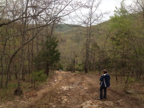 1979 Ford Bronco - A lone figure traverses a dirt path surrounded by trees, suggesting a remote or natural setting.