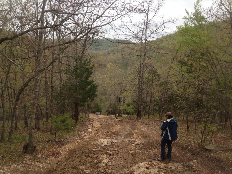 Person walking on a dirt road in a wooded area