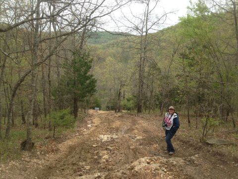 1979 Ford Bronco - A person walks down a dirt path surrounded by trees and foliage.