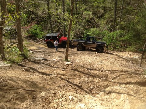 1979 Ford Bronco - A Ford Bronco is parked on a dirt road surrounded by trees.