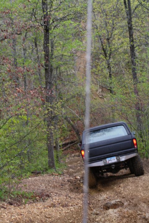 1979 Ford Bronco - A black SUV navigates a challenging off-road path through a dense forest.