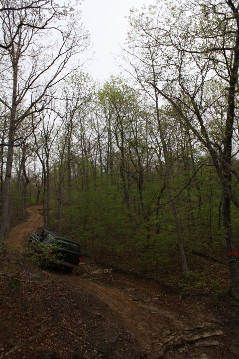 1979 Ford Bronco - A dark SUV navigates a challenging dirt path through a dense forest.