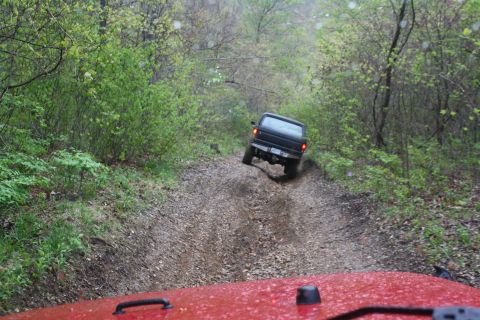 1979 Ford Bronco - Black SUV navigates a challenging dirt road through a dense forest.