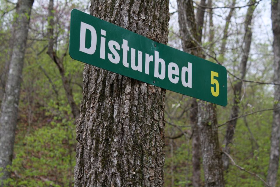 Green street sign reading 'Disturbed 5' attached to a tree trunk