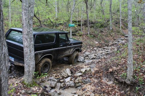 1979 Ford Bronco - A black 1978 Ford Bronco tackles a challenging off-road path through a wooded area.