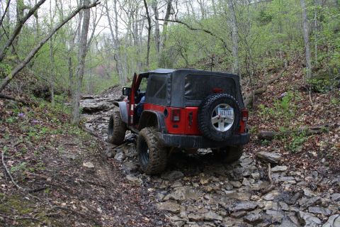 1979 Ford Bronco - A red Jeep Wrangler navigates a challenging, rocky path through a dense forest.