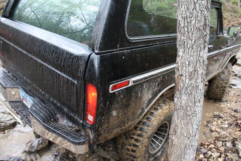 1979 Ford Bronco - This black Ford Bronco appears to be stuck in mud while off-roading, with a tree trunk partially blocking the view.