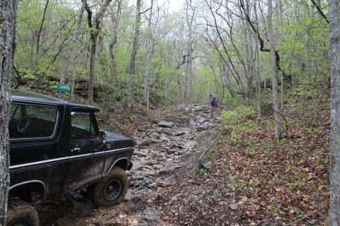 1979 Ford Bronco - This classic Ford Bronco is tackling a challenging off-road path through a dense forest.