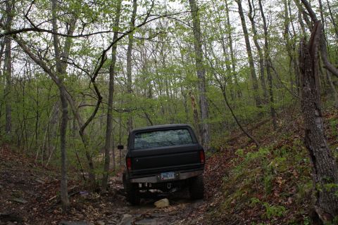 1979 Ford Bronco - A black SUV navigates a rough, forested path with dense trees and foliage.