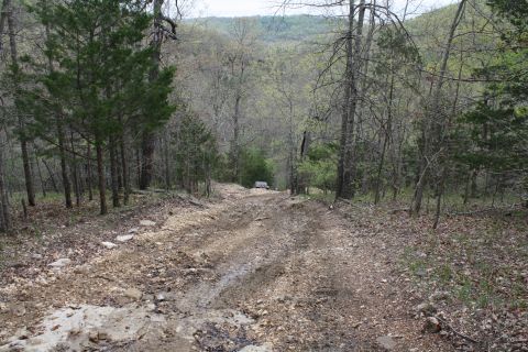 1979 Ford Bronco - A vehicle navigates a muddy and rocky off-road trail surrounded by trees.