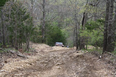 1979 Ford Bronco - A Jeep navigates a challenging off-road path through a dense forest.