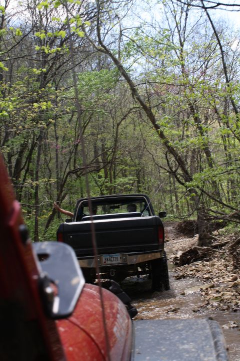 1979 Ford Bronco - A black 1979 Ford Bronco navigates a wooded trail, with another vehicle visible in the foreground.