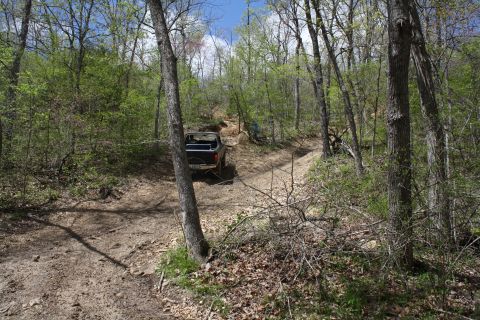 1979 Ford Bronco - A dark blue 1978 Ford Bronco navigates a wooded trail.