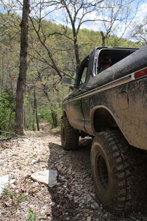 1979 Ford Bronco - This 1979 Ford Bronco navigates a rough, wooded path, its tires caked with mud.
