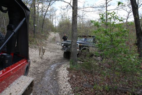 1979 Ford Bronco - A black 1979 Ford Bronco navigates a wooded dirt road, with a red Jeep visible in the foreground.