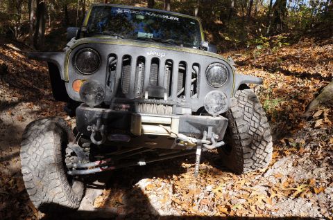 1979 Ford Bronco - A Jeep Wrangler navigates a wooded trail during autumn.