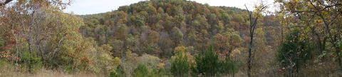 1979 Ford Bronco - Autumn colors cover a wooded hillside in this panoramic landscape photo.