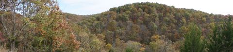 1979 Ford Bronco - The hills are covered in trees displaying a mix of green, yellow, and orange foliage during autumn.