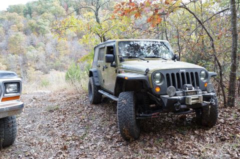 1979 Ford Bronco - A 1979 Ford Bronco is partially visible next to a tan Jeep Wrangler in a wooded area during autumn.