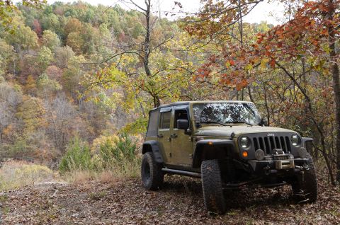1979 Ford Bronco - Jeep Wrangler parked on a dirt path surrounded by trees with autumn leaves.