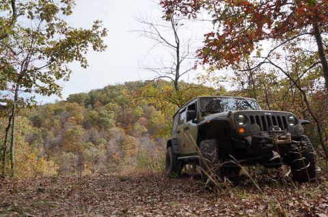 1979 Ford Bronco - A Jeep Wrangler is parked on a wooded trail during autumn, with colorful leaves on the trees and ground.