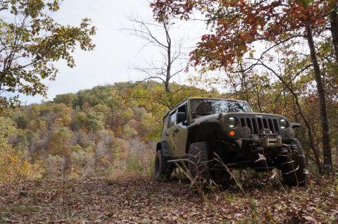 1979 Ford Bronco - Olive green Jeep Wrangler parked on a dirt path surrounded by trees with autumn foliage.