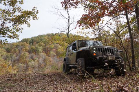 1979 Ford Bronco - A Jeep Wrangler navigates a wooded trail in autumn, with the Supermotors.net logo in the corner.
