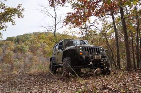 1979 Ford Bronco - A Jeep Wrangler navigates a wooded trail during autumn, with colorful leaves on the trees and ground.