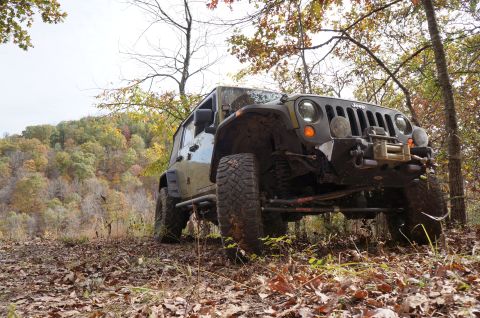 1979 Ford Bronco - A Jeep Wrangler is parked on a wooded trail during the fall season.