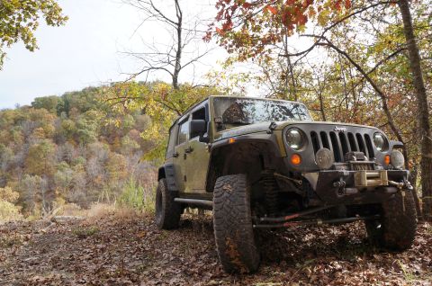 1979 Ford Bronco - A Jeep Wrangler navigates a leaf-covered trail during autumn.