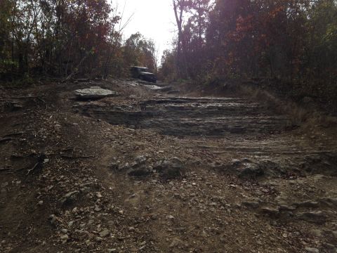 1979 Ford Bronco - A vehicle navigates a challenging off-road path during autumn.