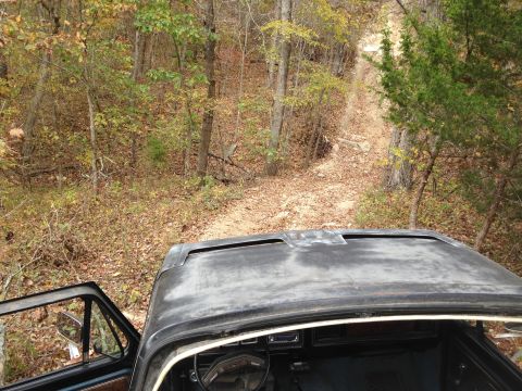 1979 Ford Bronco - The interior of a vehicle is shown, with the driver's side door open, overlooking a wooded trail.