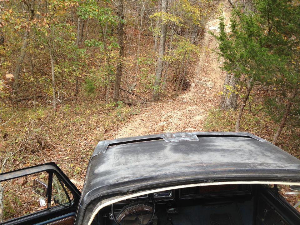 View from inside an old pickup truck looking out at a dirt trail in the woods