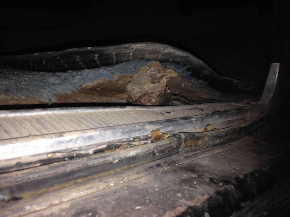 Rusted metal and blue carpet under a black curved panel, likely from a vehicle.
