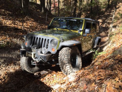 1979 Ford Bronco - A green Jeep Wrangler is navigating a wooded trail covered in fallen leaves. The vehicle has off-road tires, a winch mounted on the front b…