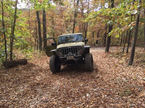 1979 Ford Bronco - A tan Jeep Wrangler is parked on a leaf-covered forest floor with its driver's side door open. The vehicle is equipped with a winch and aft…