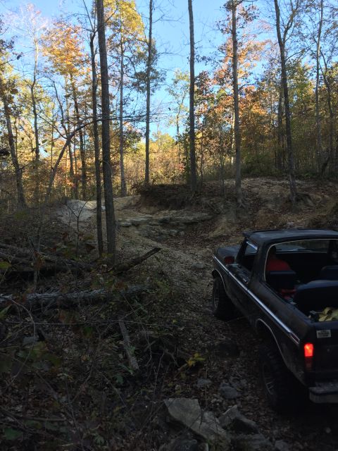 1979 Ford Bronco - A 1978 Ford Bronco is parked in a forest during the fall season.
