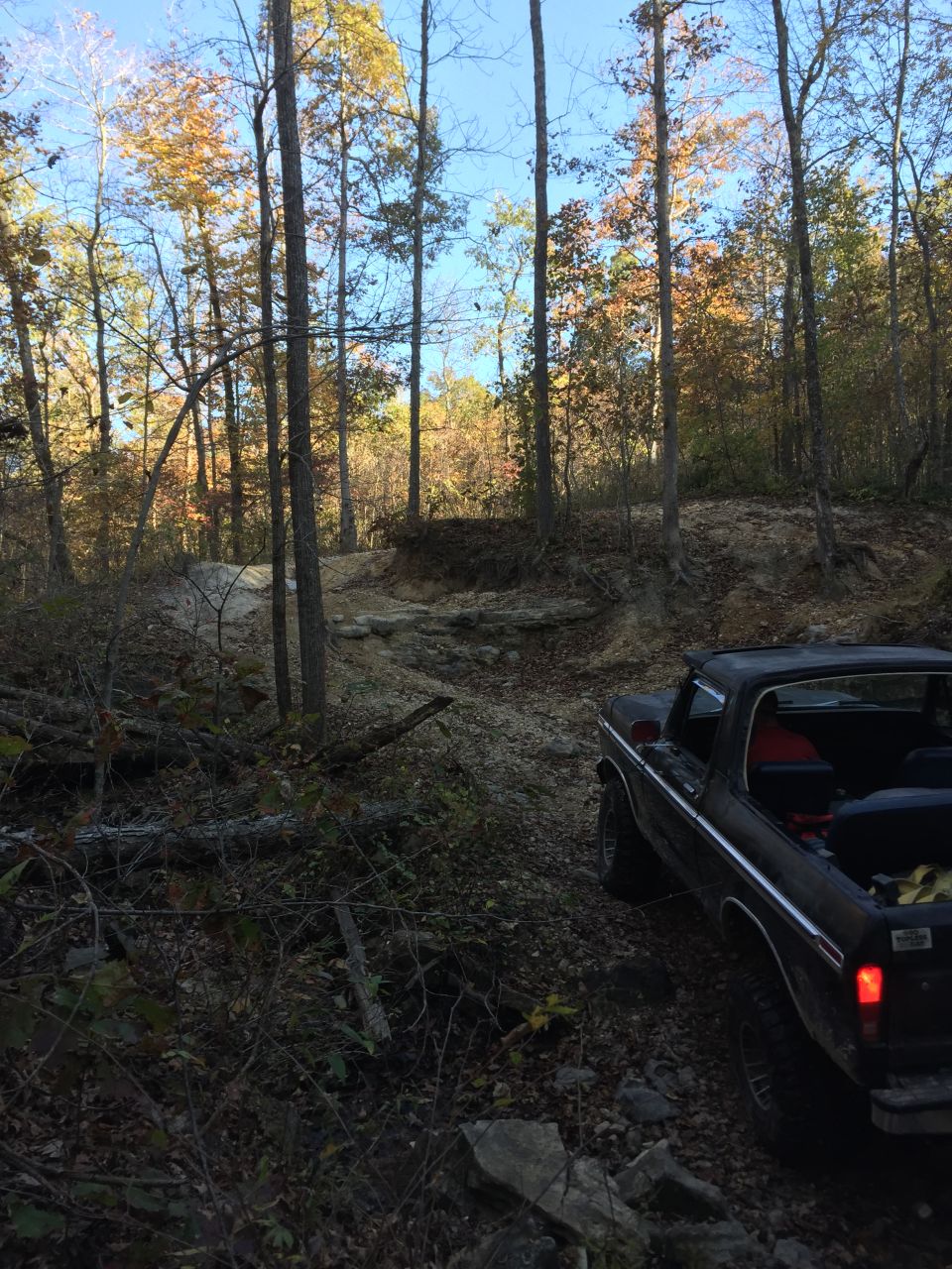 Brown 1978 Ford Bronco rear view in a wooded area during autumn